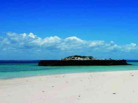 South Africa Wildlife & Bazaruto Island Explorer